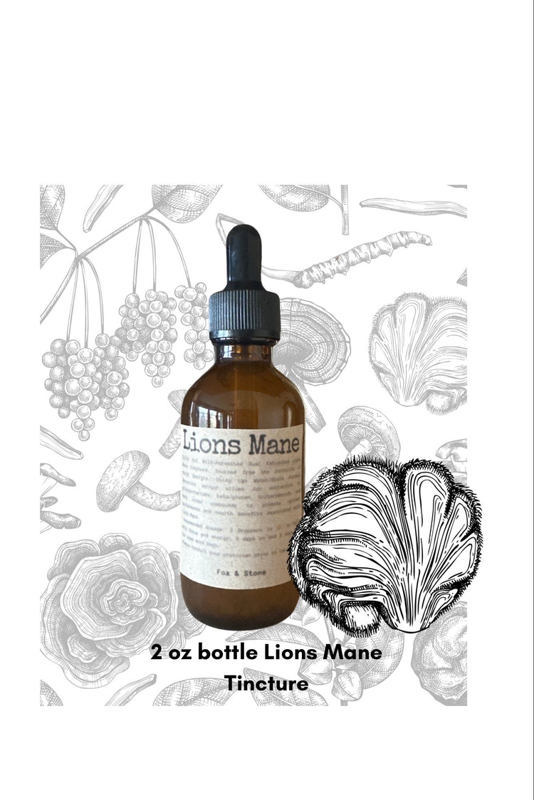 Lions Mane Tinctures